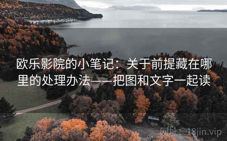 欧乐影院的小笔记：关于前提藏在哪里的处理办法——把图和文字一起读